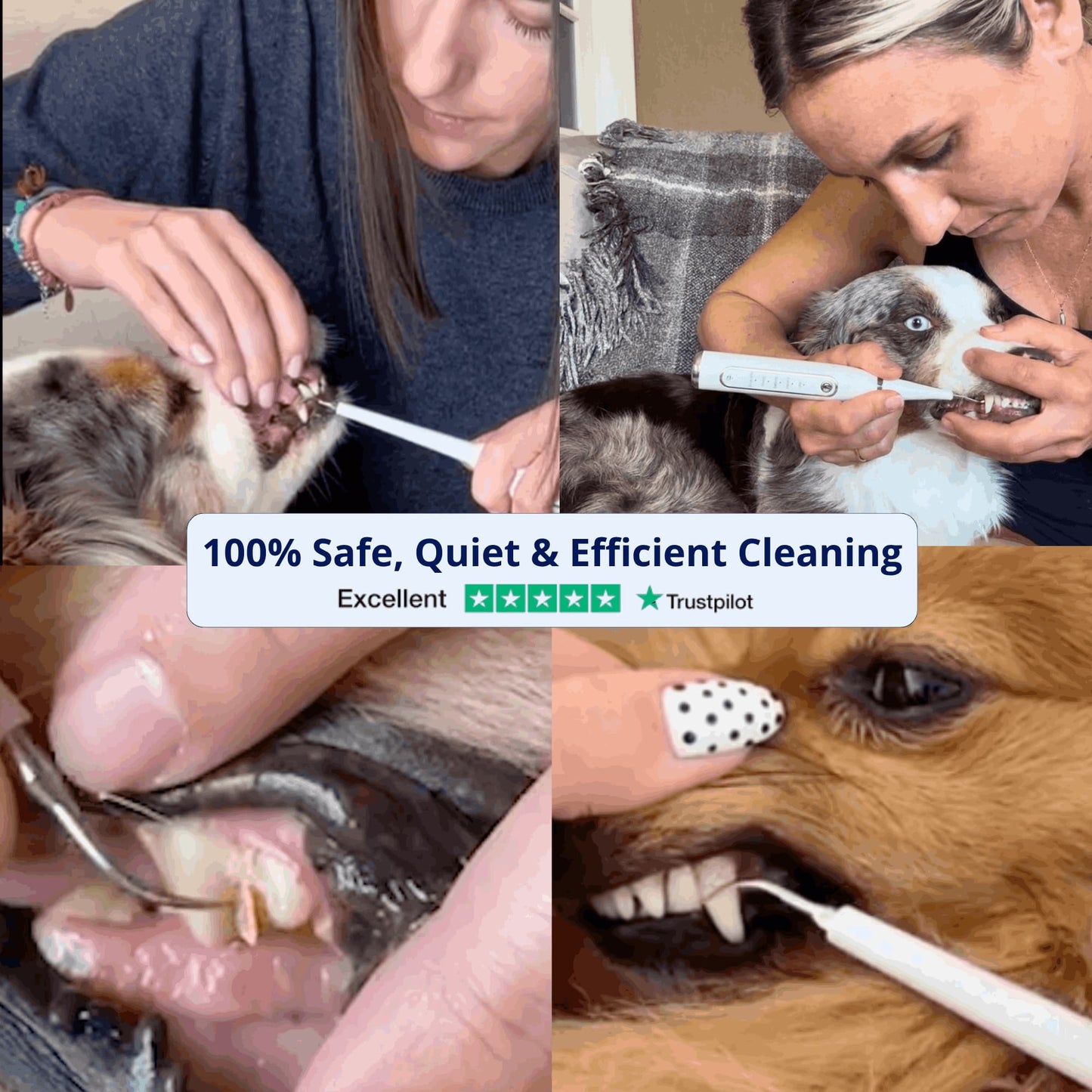 ZakkaHub ultrasonic dog tartar remover product image 4