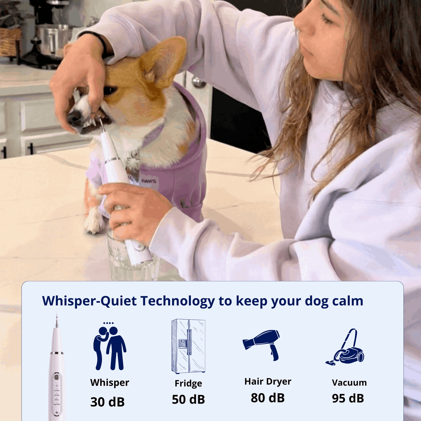 ZakkaHub ultrasonic dog tartar remover product image 5