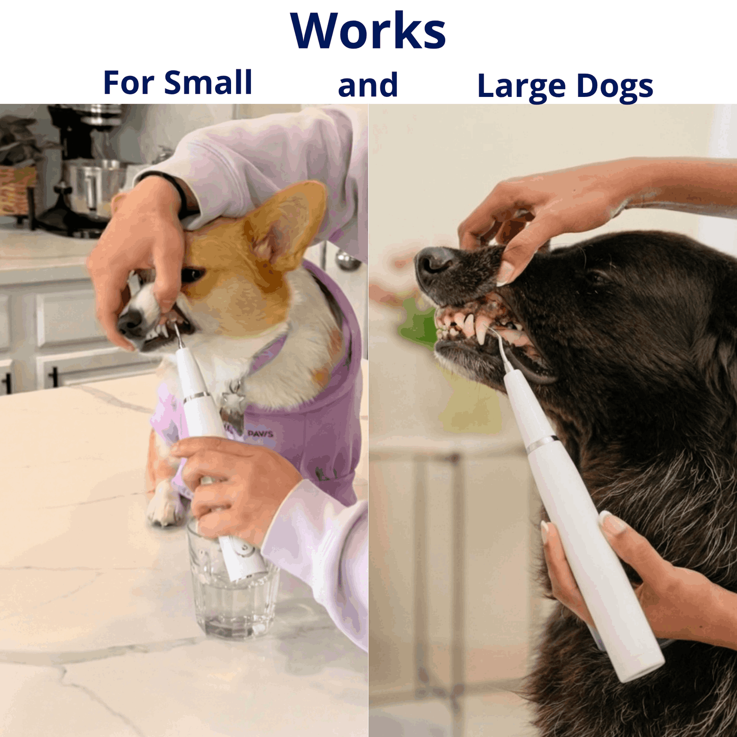 ZakkaHub ultrasonic dog tartar remover product image 6