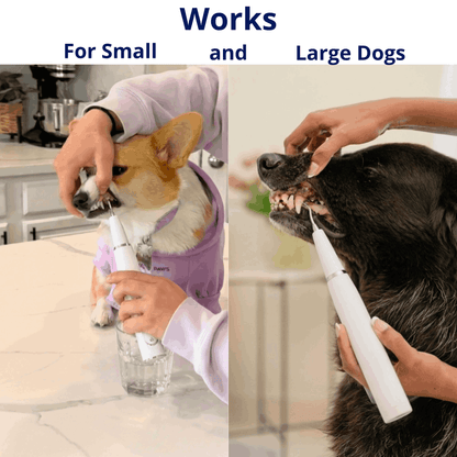 ZakkaHub ultrasonic dog tartar remover product image 6