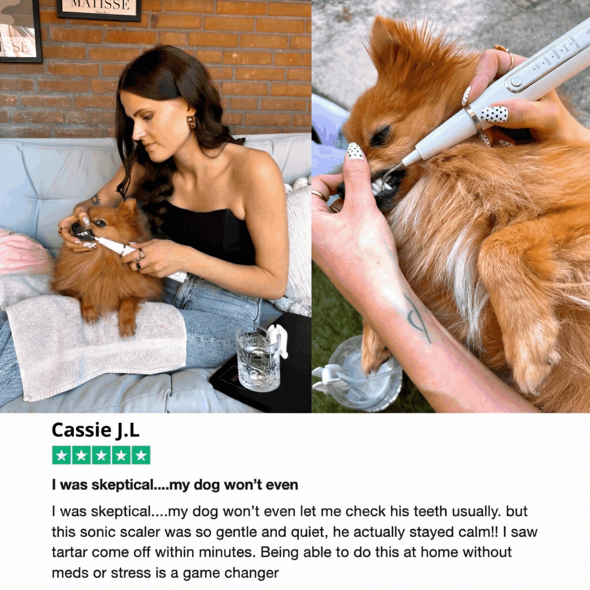 ZakkaHub ultrasonic dog tartar remover product image 10