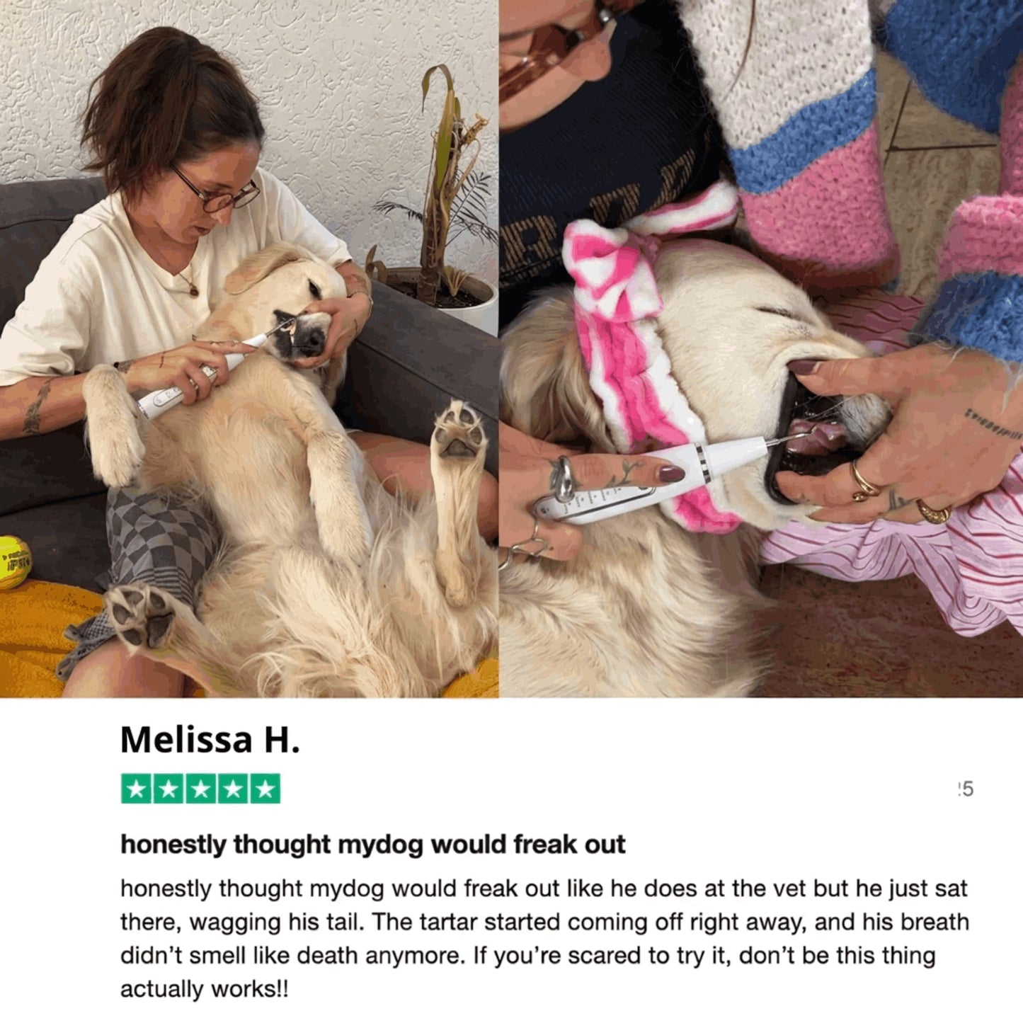 ZakkaHub ultrasonic dog tartar remover product image 11