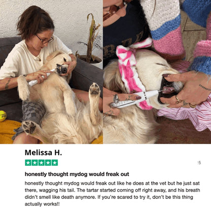 ZakkaHub ultrasonic dog tartar remover product image 11