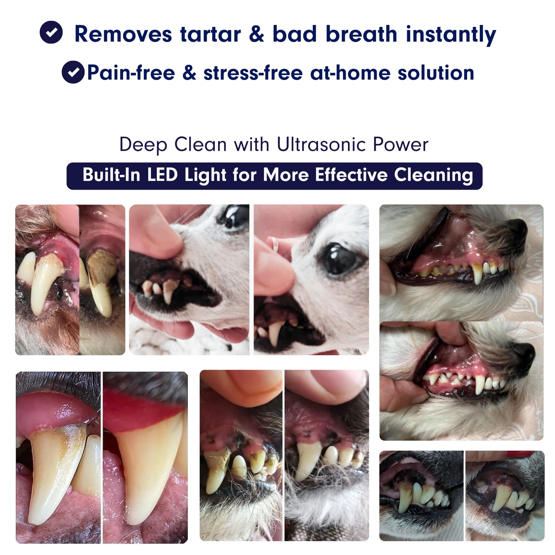 ZakkaHub ultrasonic dog tartar remover product image 3